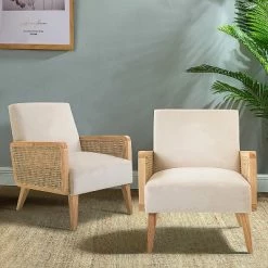 Top 10 😍 Chloé Cane Accent Chair Set of 2 | Karat Home ✨