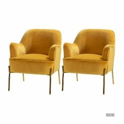 Best Sale 🔔 Odo Velvet Accent Arm Chair Padded Seat Set of 2 | Karat Home 🥰 -Living Room Chairs Sales unnamed file 1133