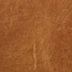 Buy ⌛ Poly & Bark Marseilles Lounge Chair Cognac Tan - Poly & Bark 😀 -Living Room Chairs Sales unnamed file 11497