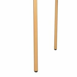 Brand new ⌛ Set of 2 Camille Side Chair Gray/Gold - Safavieh ✨ -Living Room Chairs Sales unnamed file 1447