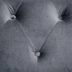 Hot Sale 💯 Paseo Button Tufted Chair with Nailhead Trim - miBasics Blue 🧨 -Living Room Chairs Sales unnamed file 5466